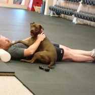 foamrolleranddog