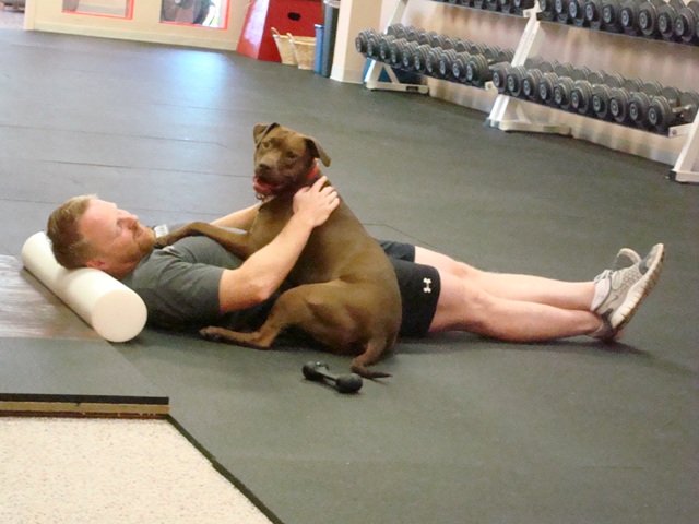 foamrolleranddog